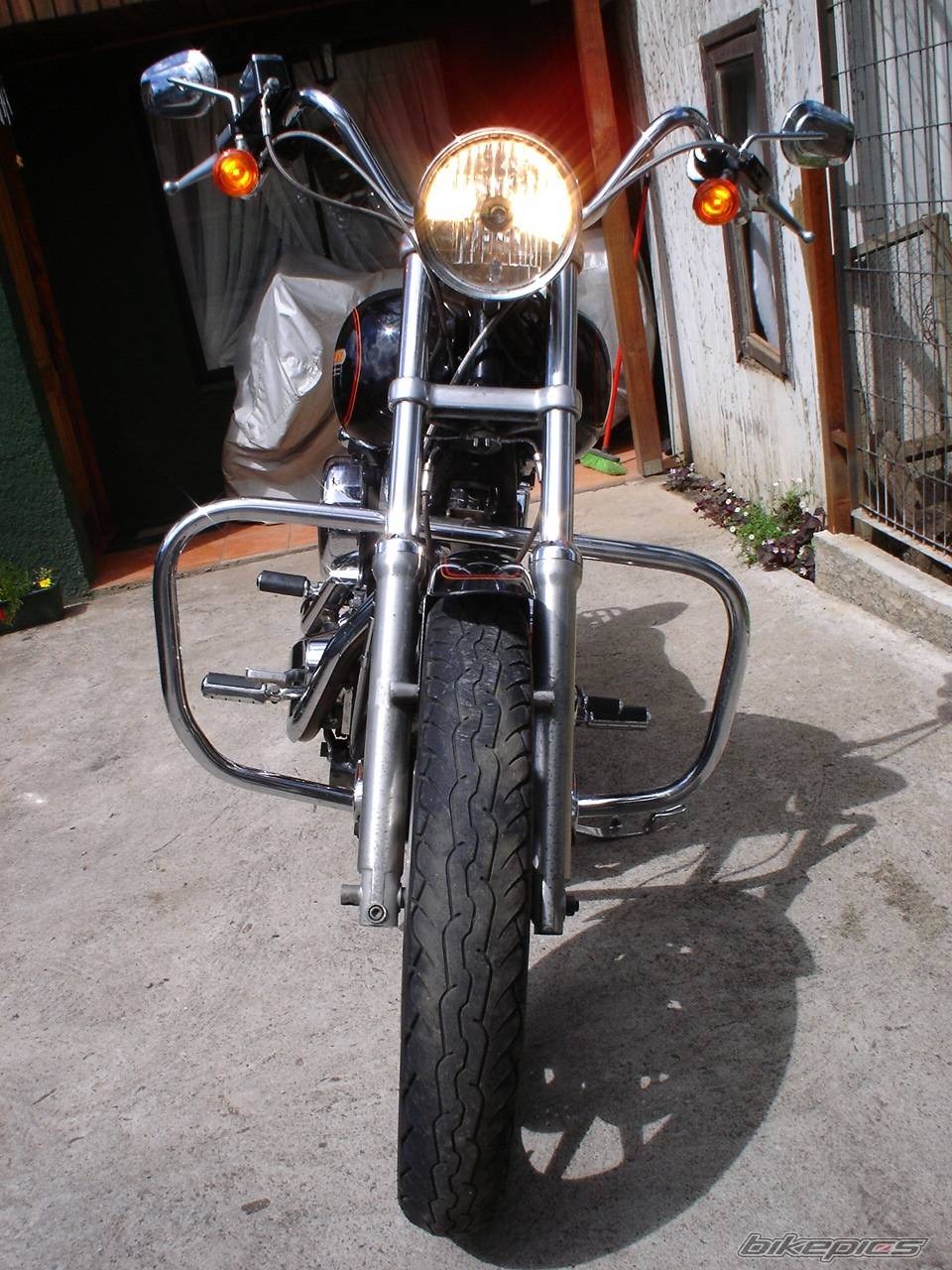 Photo 497395