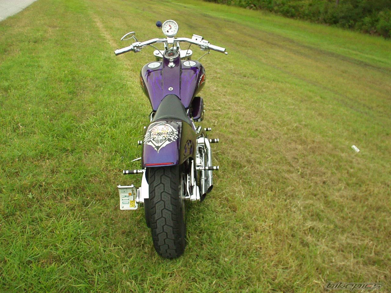 Photo 497415