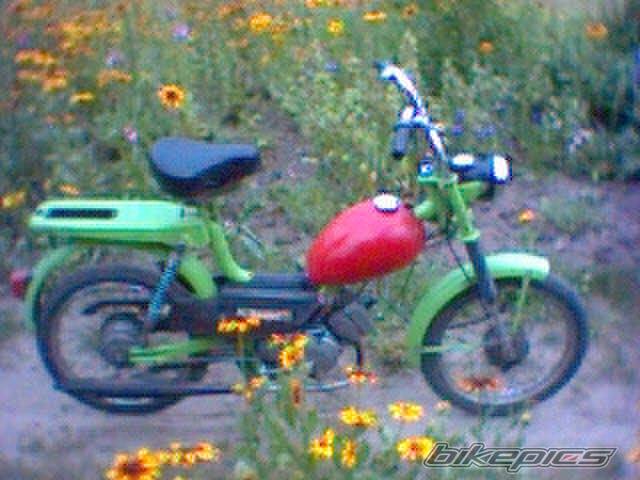 Photo 497435