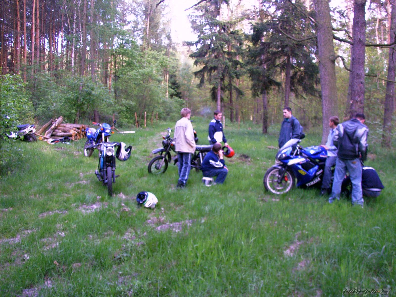 Photo 497438