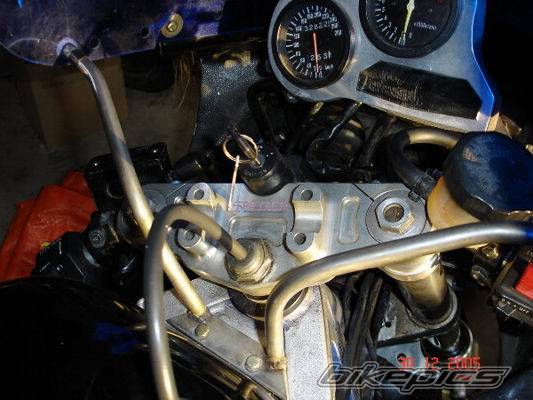 Photo 497504