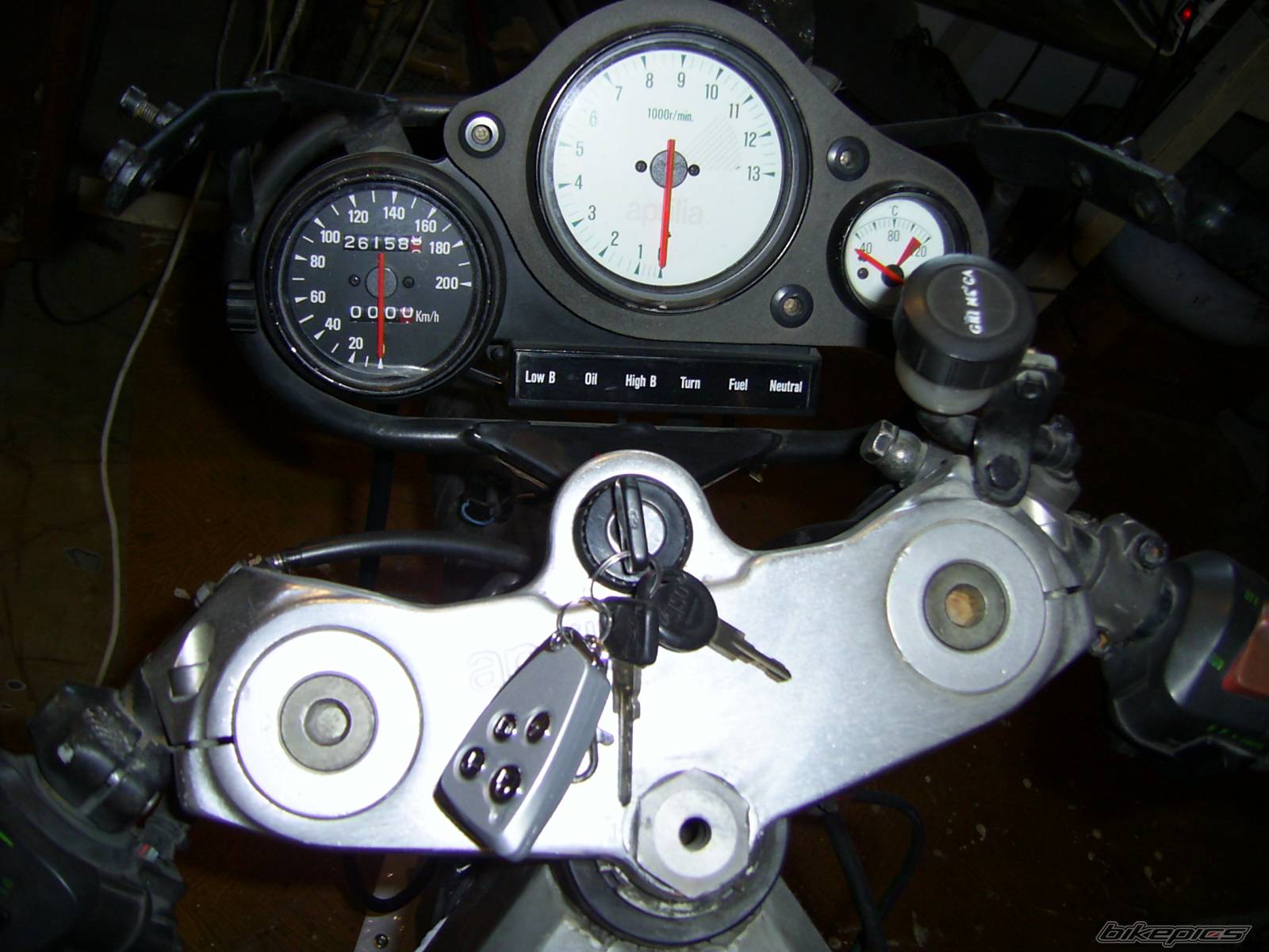 Photo 497573