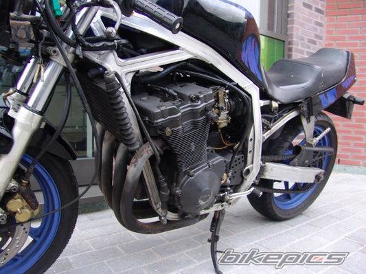 Photo 497616