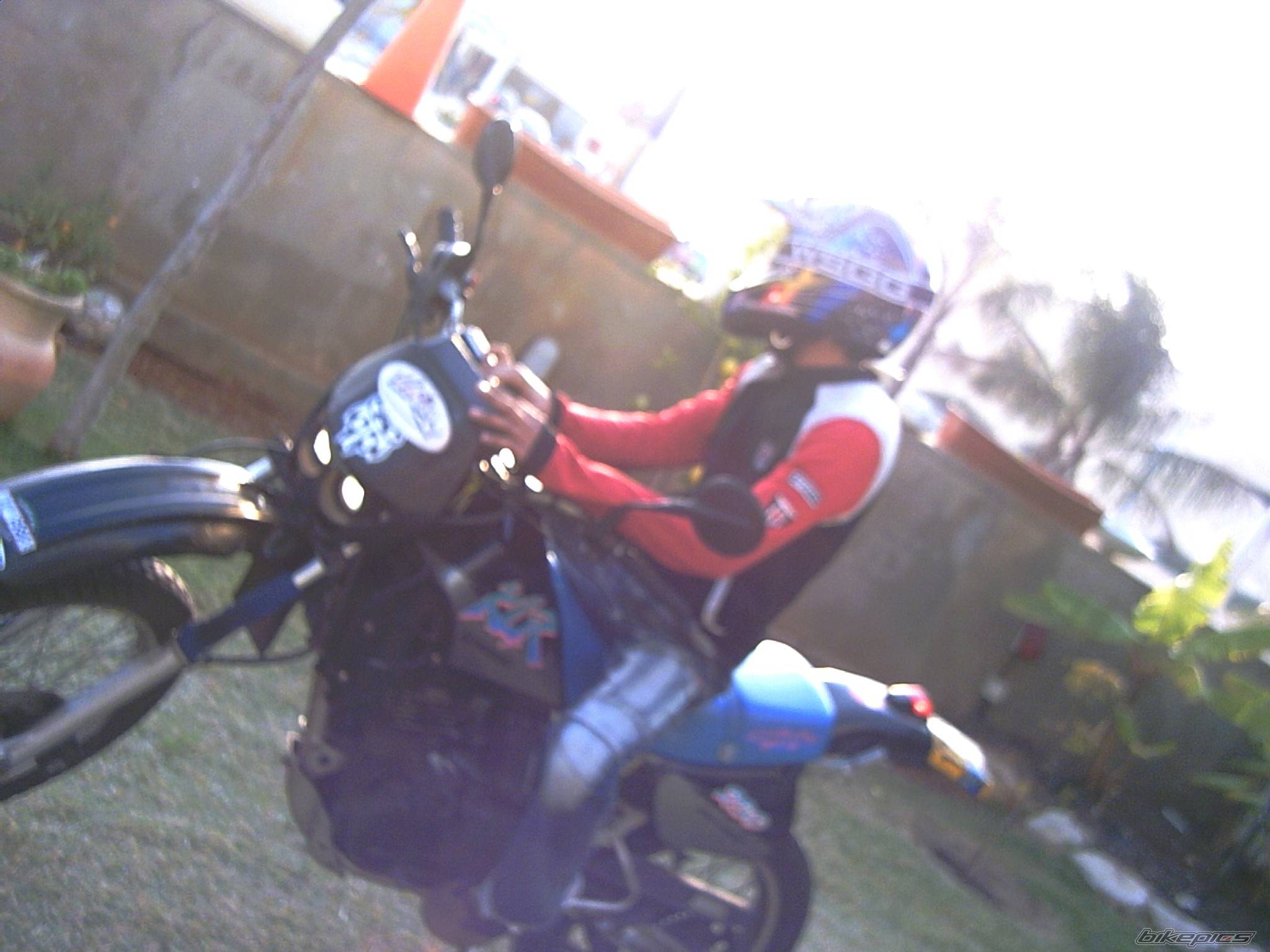 Photo 497674