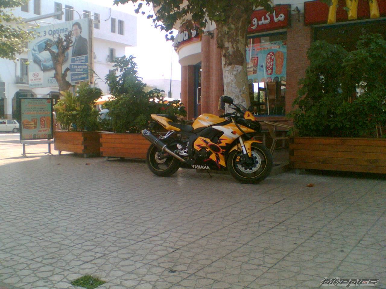 Photo 497675