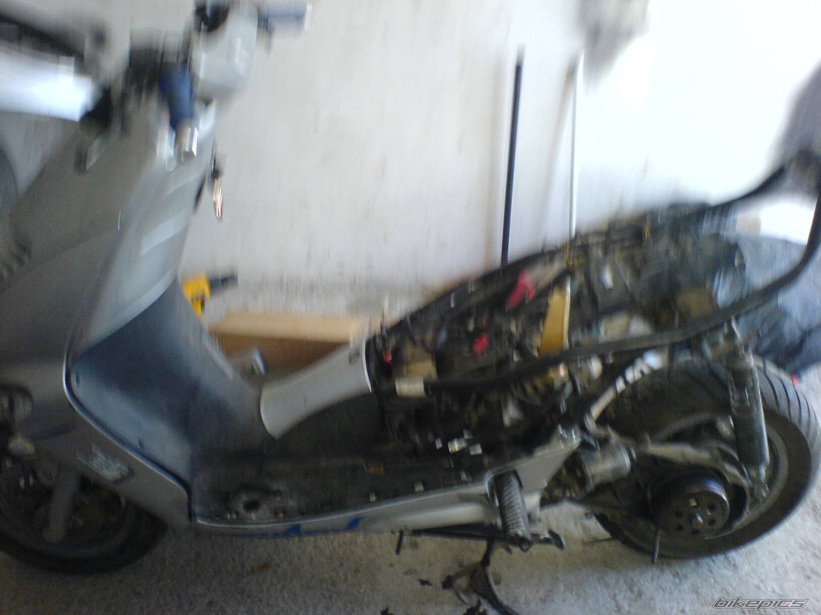 Photo 497676