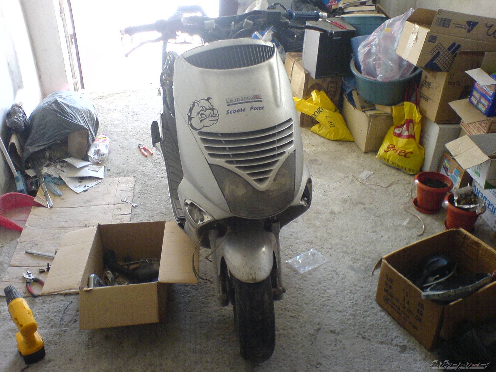 Photo 497677