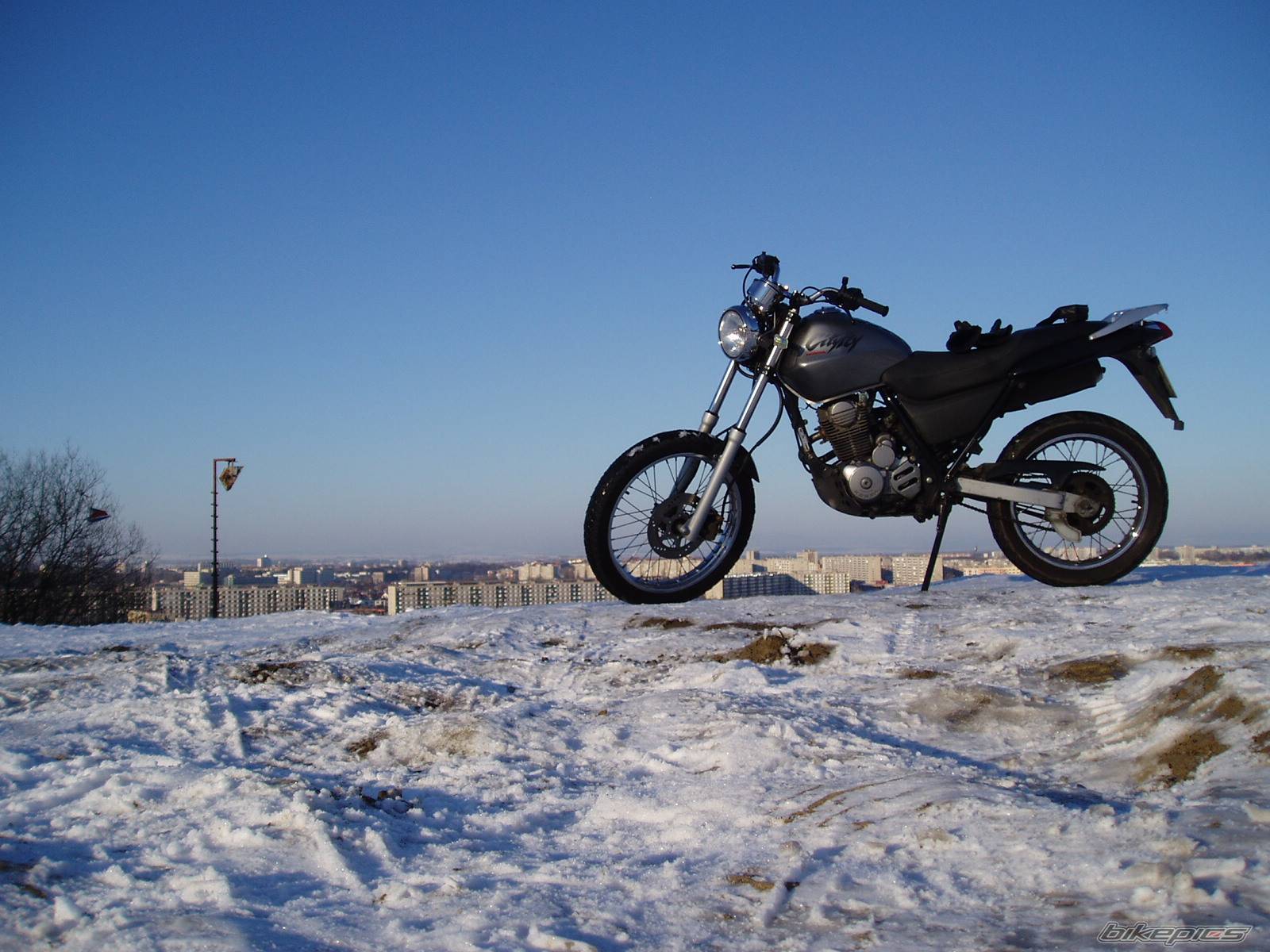 Photo 497689