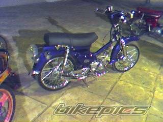 Photo 497705
