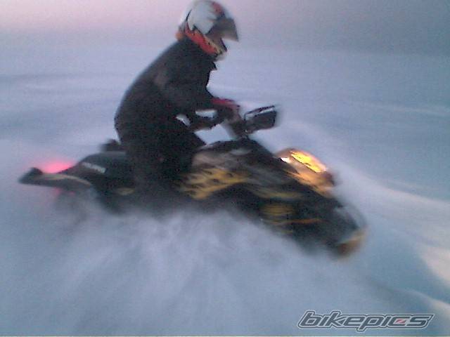 Photo 497766