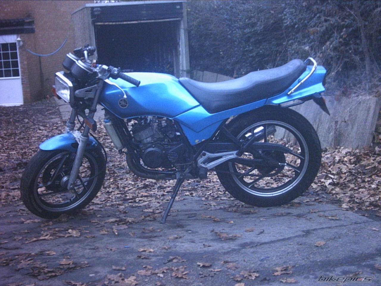 Bike Photo 497801