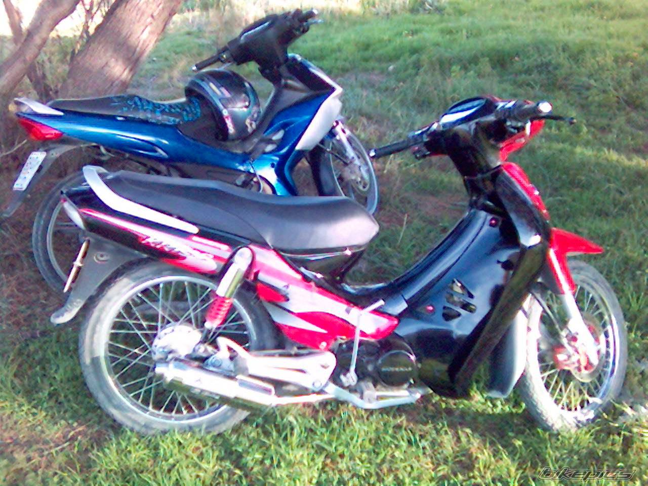 Photo 497823