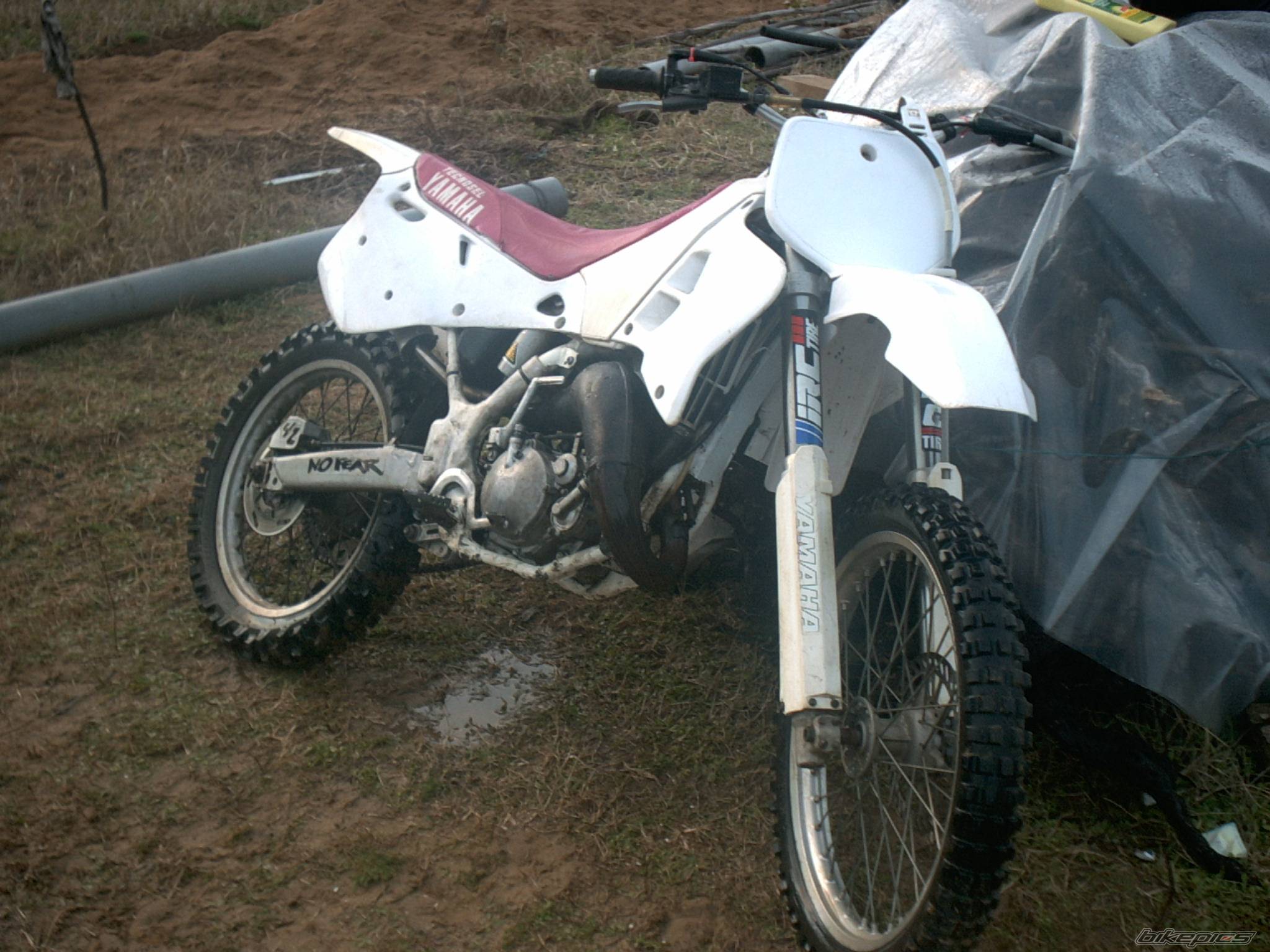 Photo 49795