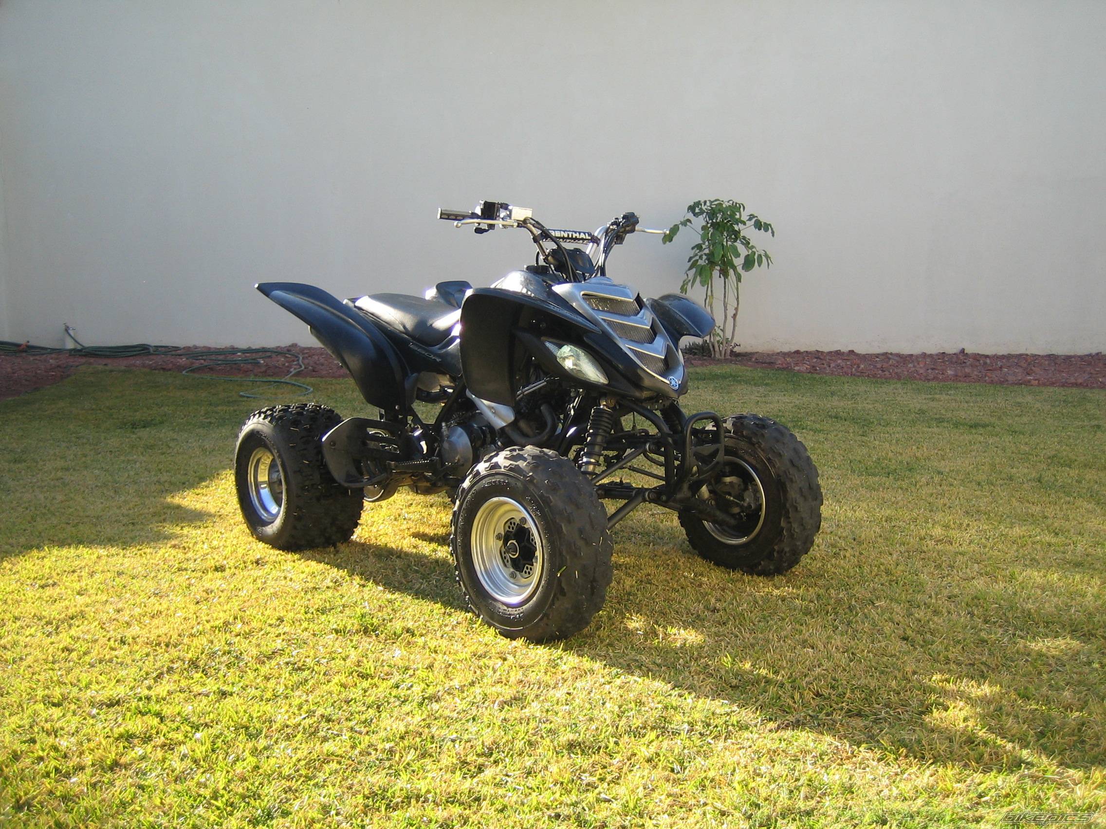 Photo 498112