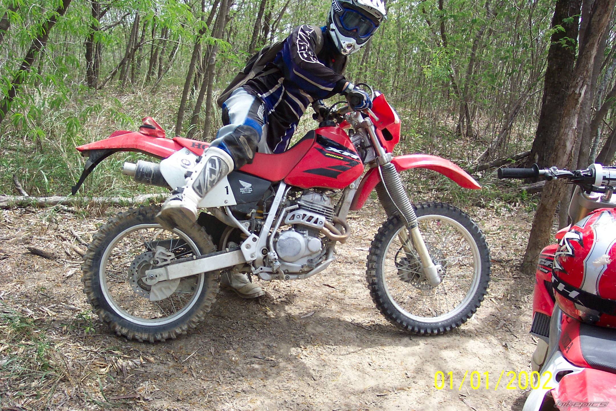 Photo 498114