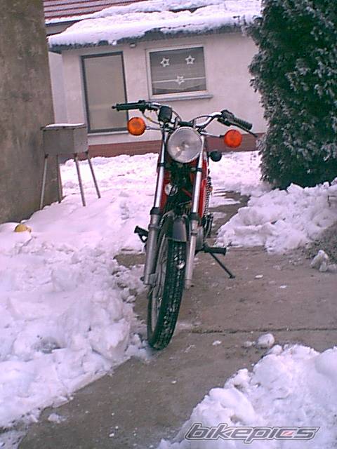 Photo 498234