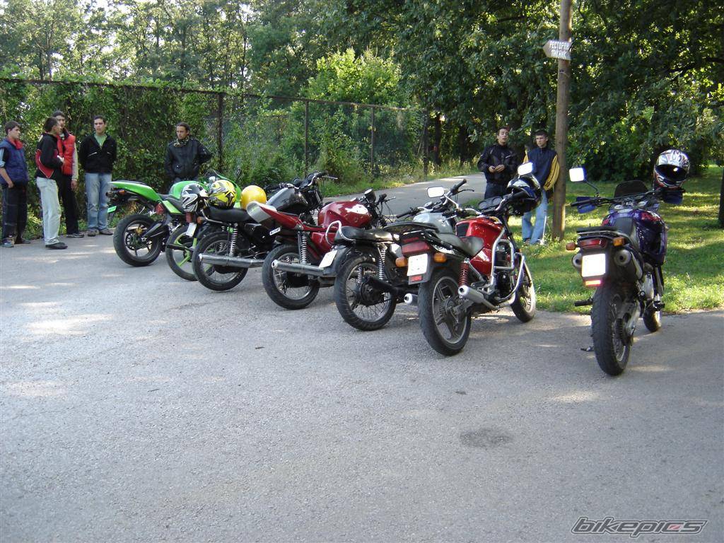 Photo 498264