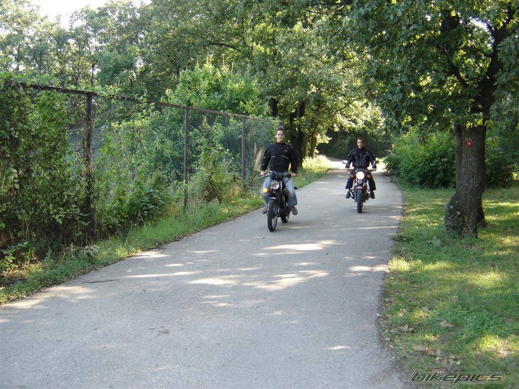 Photo 498270