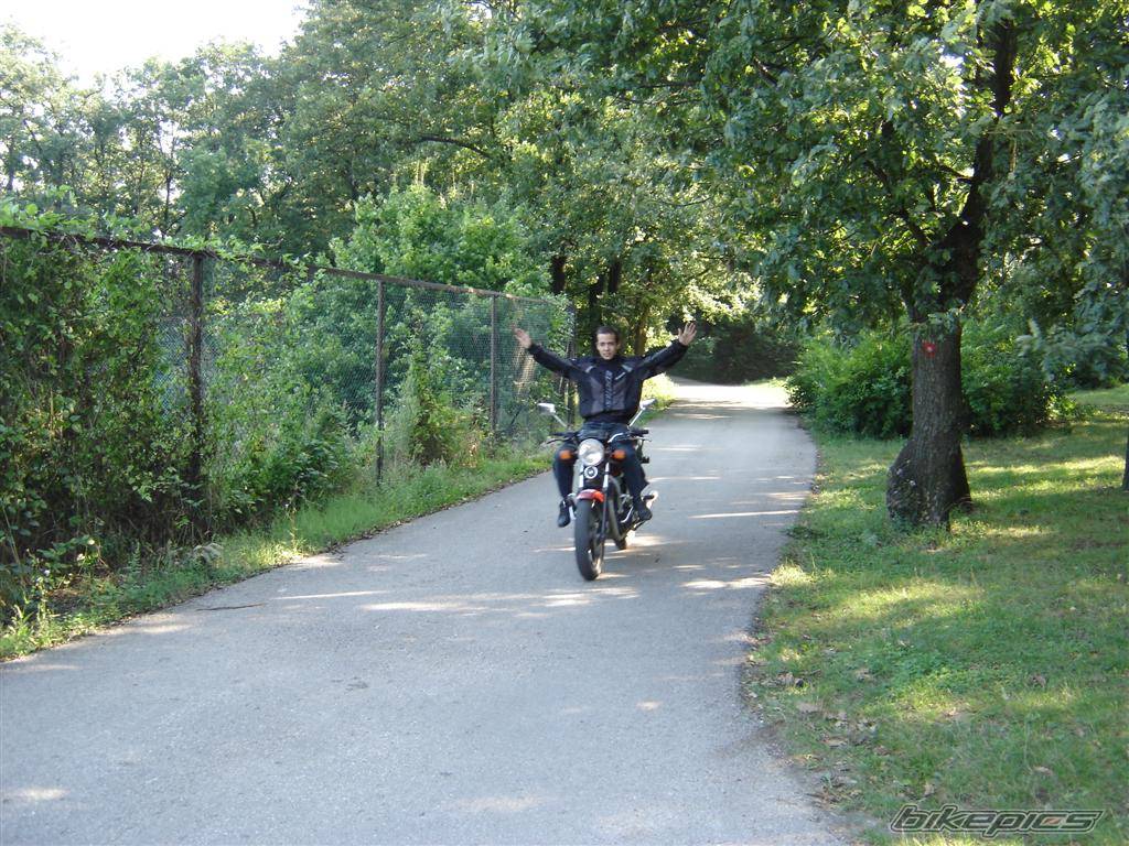 Photo 498271