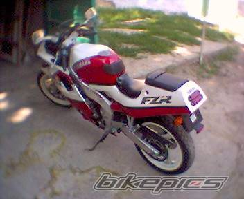 Photo 498333