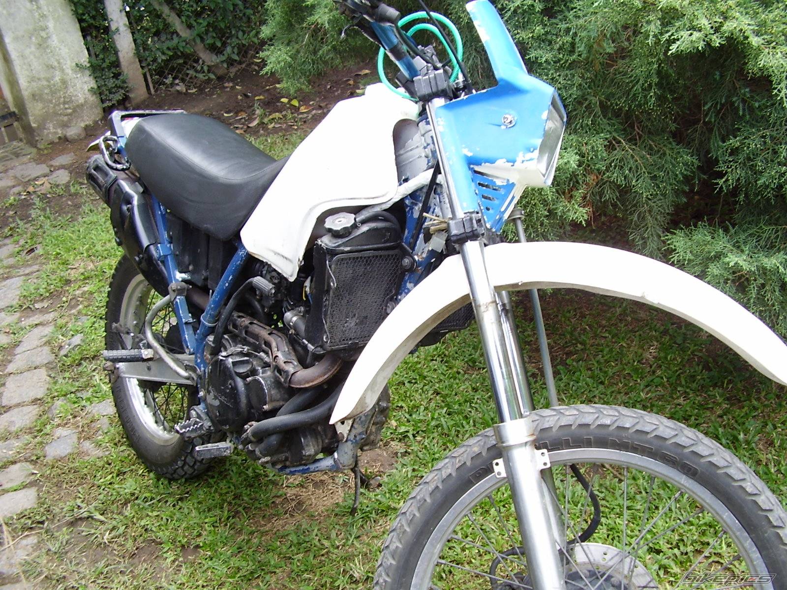 Photo 498374