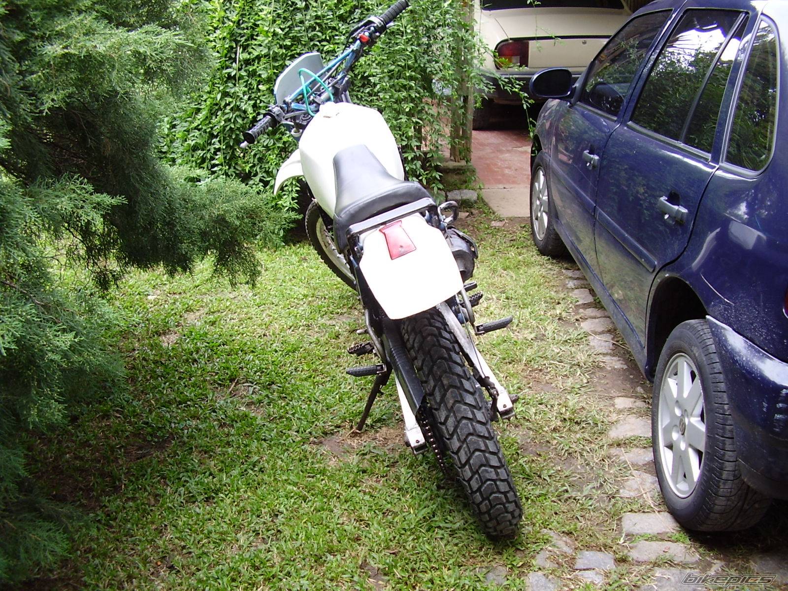 Photo 498377