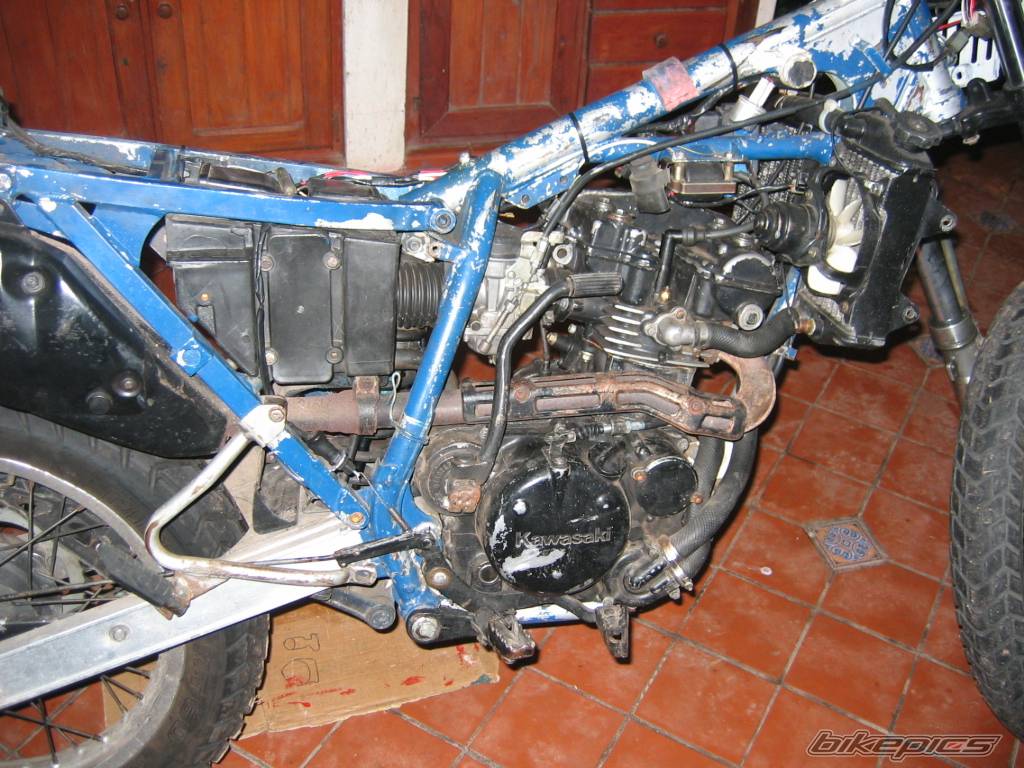 Photo 498378