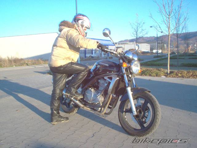 Photo 498409