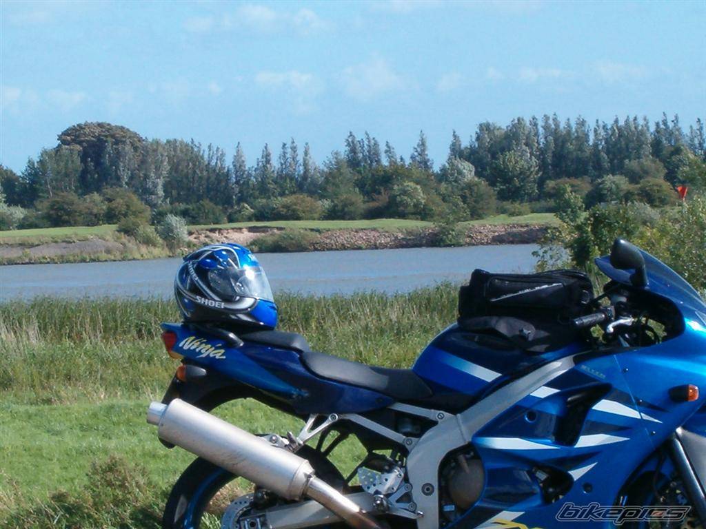 Photo 498441