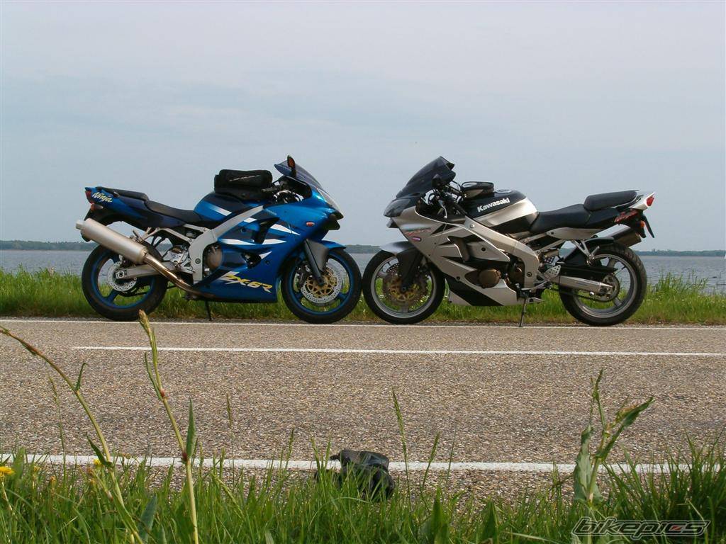 Photo 498446