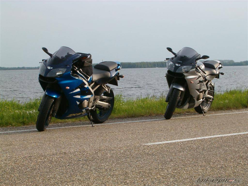 Photo 498447