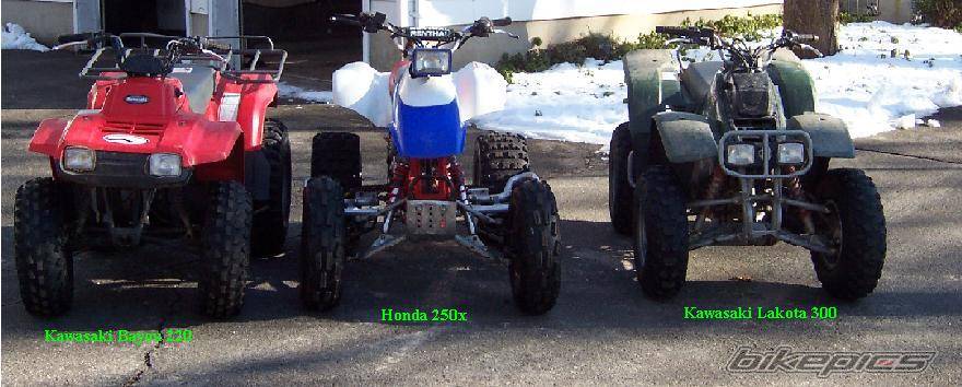 Photo 498526
