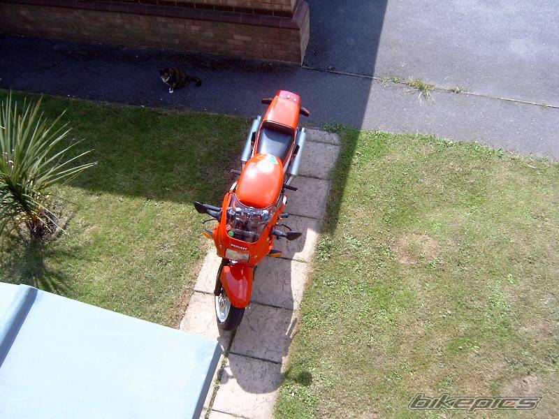 Photo 49855