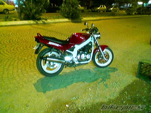 Photo 498662