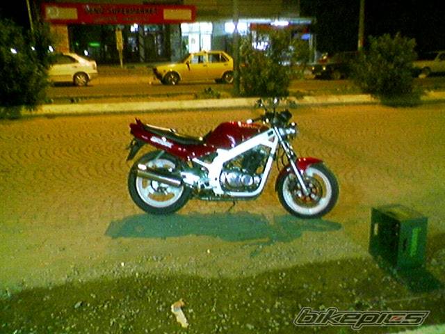 Photo 498664
