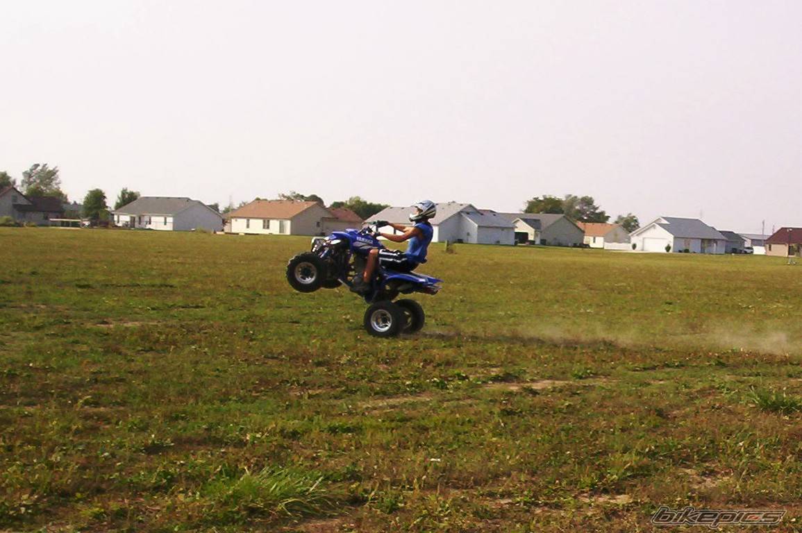 Photo 498673