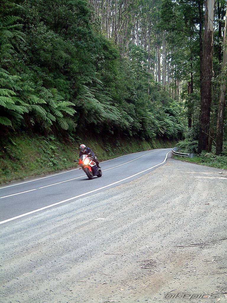 Photo 498710