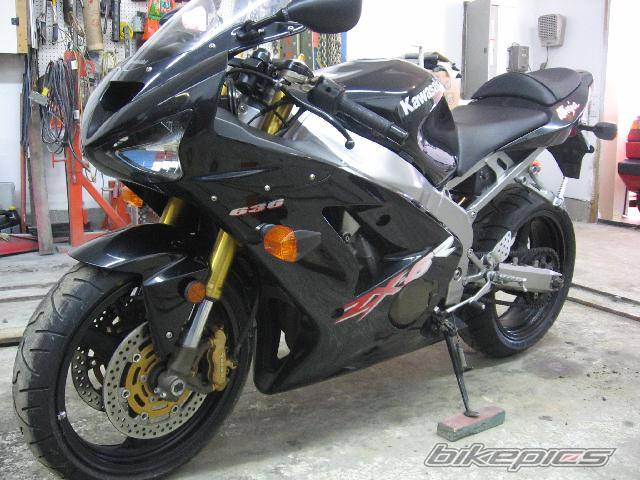 Photo 498713