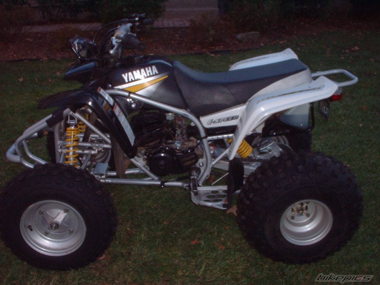 Photo 49873