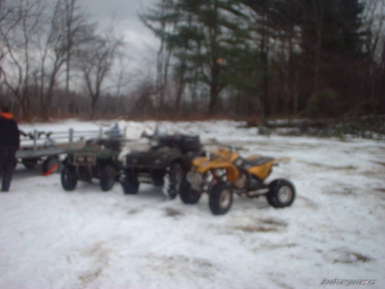 Photo 49877