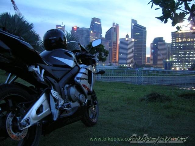 Photo 498772