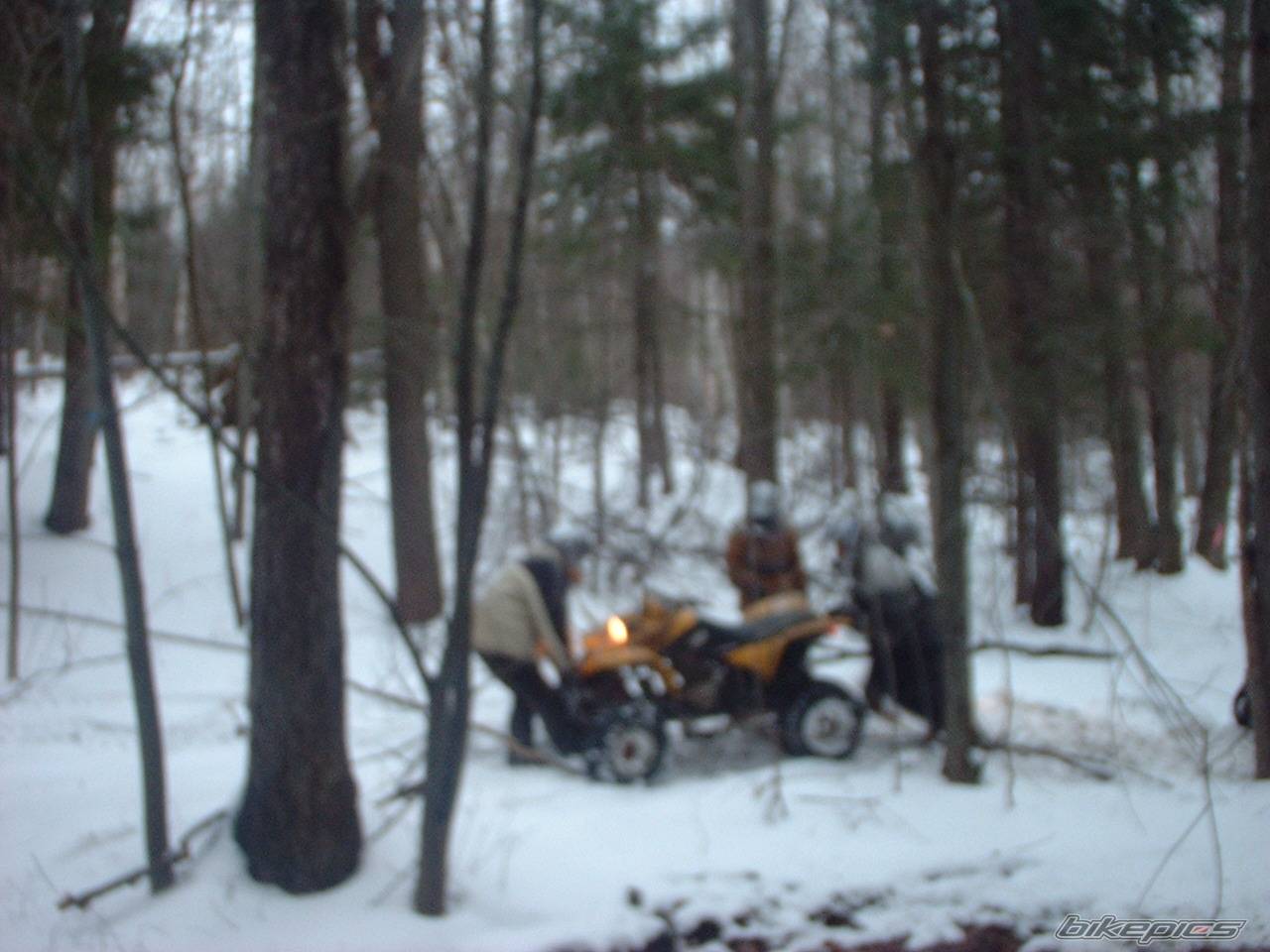 Photo 49878