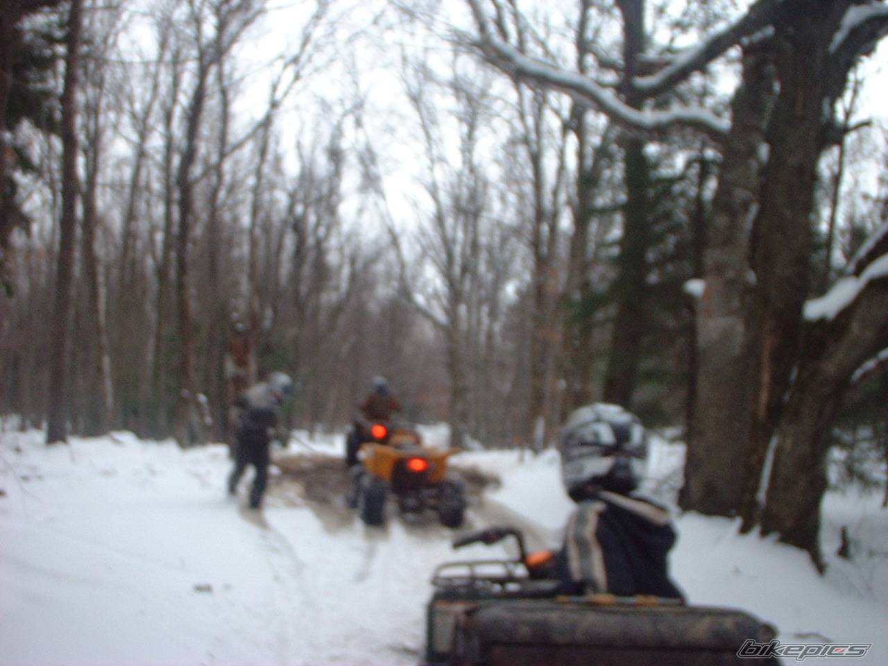 Photo 49879