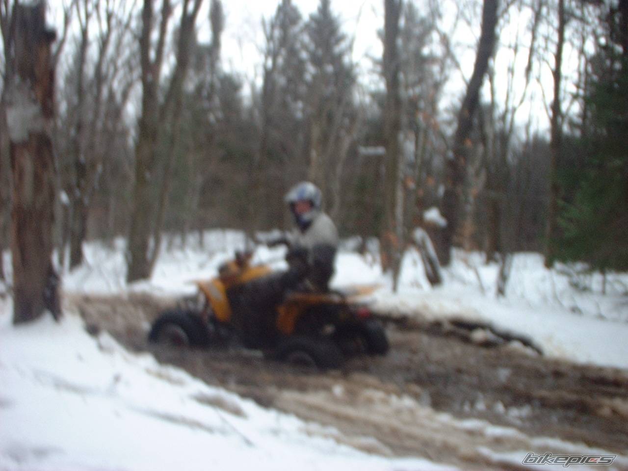 Photo 49880