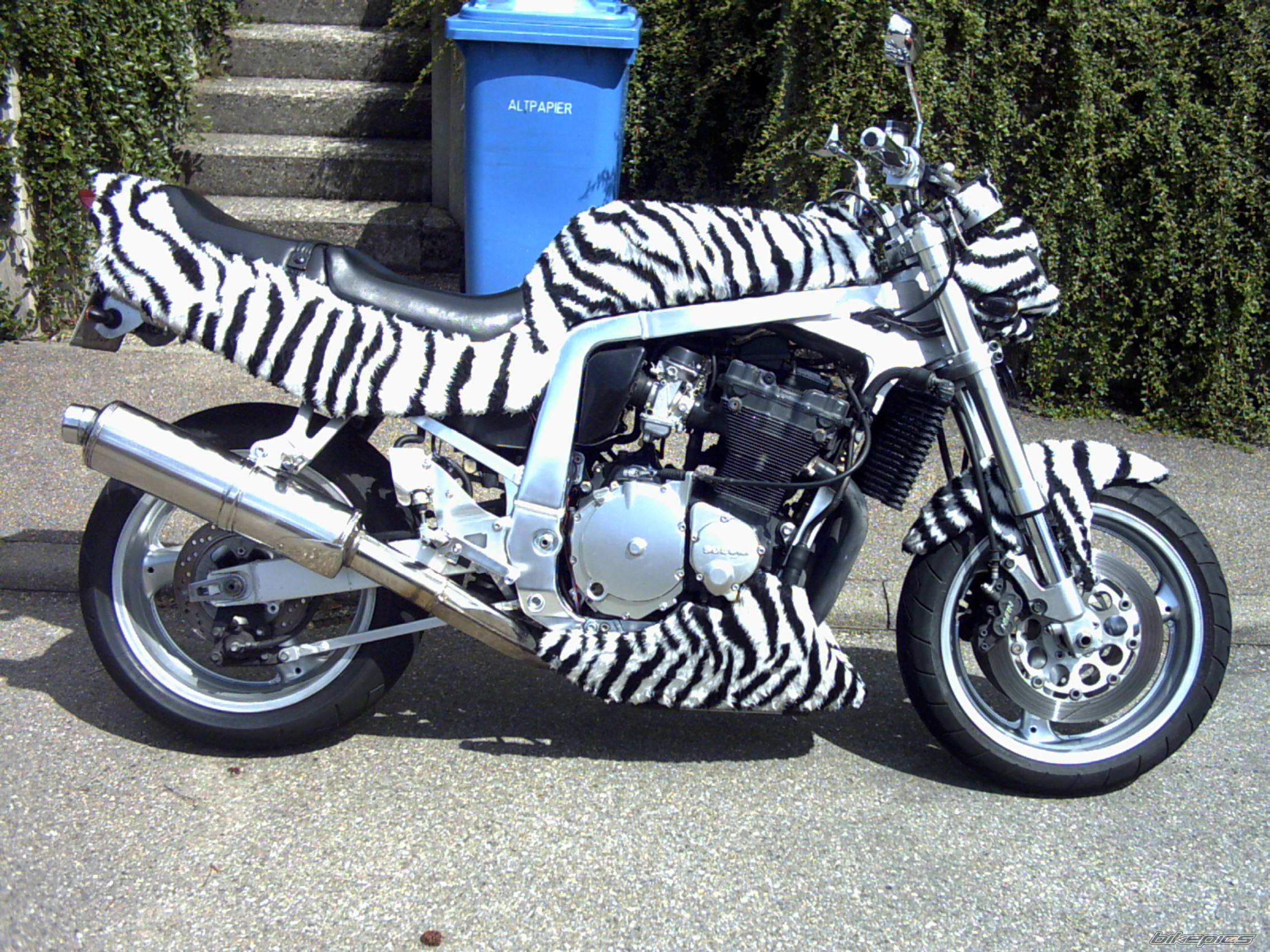 Bike Photo 498801