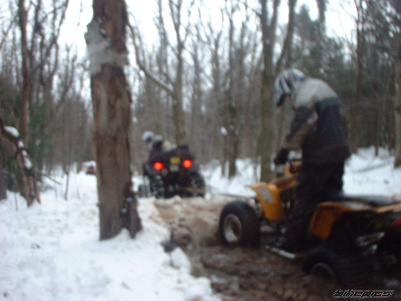 Photo 49883