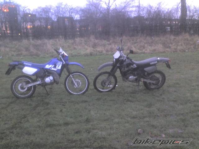 Photo 498862