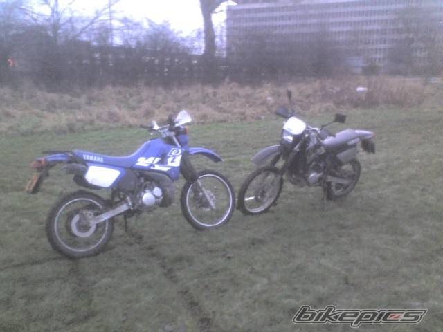 Photo 498864