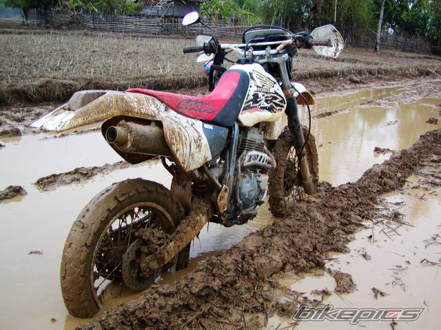 Photo 498965