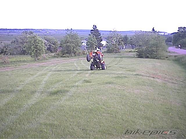 Photo 49897